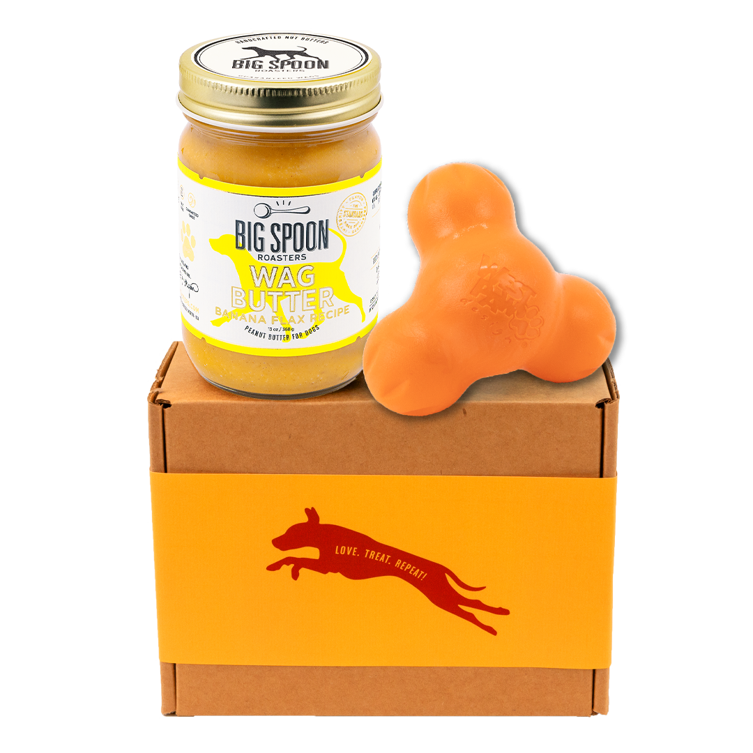 Jar of 'Big Spoon Roasters' Wag Butter on a box with an orange West Paw Tux toy.