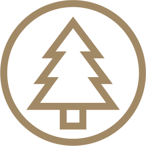 Tree  icon