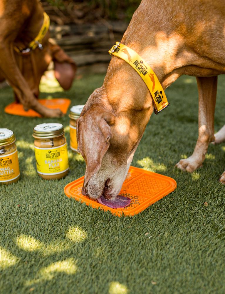 A shoppable photo of two dogs licking wag butter off of orange lick mats outside with three jars of wag butter between them