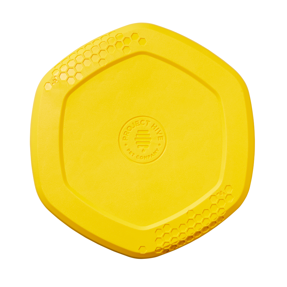 Yellow Project Hive disc toy for dogs