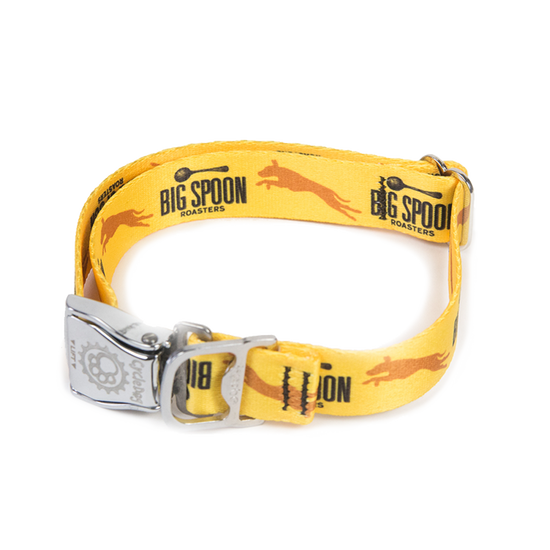 Big Spoon Roasters Cycle Dog collar